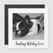 かわいい犬がホリデー・ラブを送る (正面/裏面)