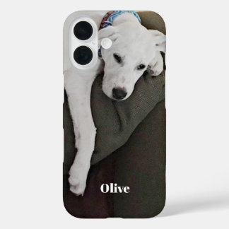 かわいい犬が椅子でお昼寝 iPhone 16ケース