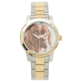 かわいい犬が見る 腕時計