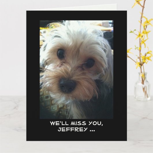 かわいい犬たちからのジャンボ退職祝い カード (黄色い花)