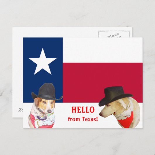 かわいい犬たちテキサス州から！ ポストカード (正面/裏面)