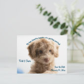 かわいい犬とその人間セーブ・ザ・デート案内 ポストカード (スタンド正面)