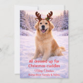 かわいい犬とクリスマスのユーモアのある名言 | ホリデーカード (正面)