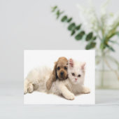 かわいい犬と猫のはがき ポストカード (スタンド正面)