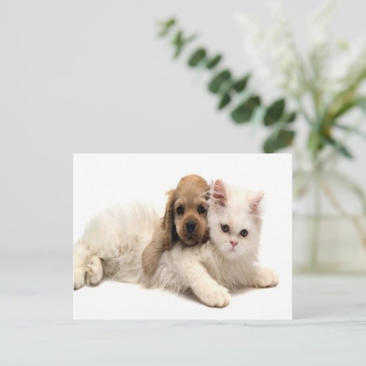 かわいい犬と猫のはがき ポストカード (スタンド正面)