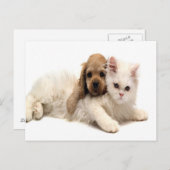 かわいい犬と猫のはがき ポストカード (正面/裏面)