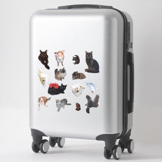 かわいい犬と猫の写真14枚 シール (スーツケース)
