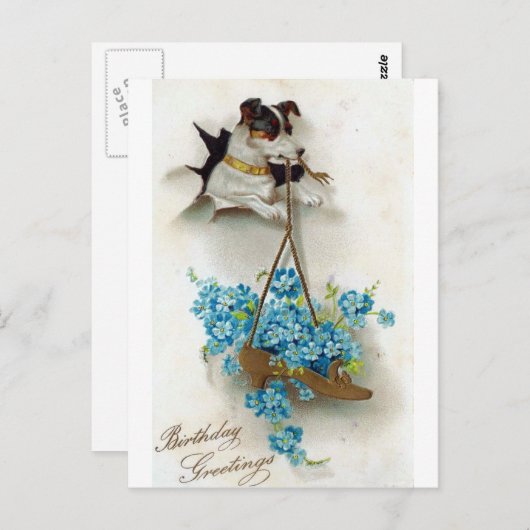 かわいい犬と靴の誕生日の挨拶 ポストカード (正面/裏面)