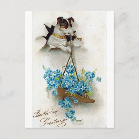 かわいい犬と靴の誕生日の挨拶 ポストカード (正面)