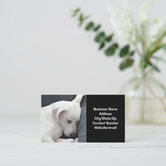 かわいい犬と黒と白の眠りの写真 名刺 (スタンド正面)