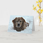 かわいい犬と1月誕生日ユーモア カード (黄色い花)