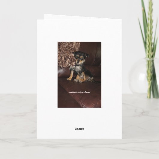 かわいい犬のおとうさんの日 カード (裏面)