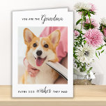 かわいい犬のおばあちゃんパーソナライズされたペット写真誕生日 シーズンカード<br><div class="desc">ハッピーバースデー犬最高ののおばあちゃん！おばあちゃん与え可愛いペットおもしろいの写真パーソナライズされたカード彼女の孫最高の、犬から！「お前は犬が願うお婆さんだよ。... .ハッピーバースデーおばあちゃん、犬を愛する"あなたの特別なメッセージ、犬の名前と写真で内側をパーソナライズお気に入りの。この犬のおばあちゃんのカードは、母の日や祖父母の日にも最適だ。COPYRIGHT © 2020 Judy Burrows,  Black Dog Art - All Rights Reserved.かわいい犬おばあちゃんパーソナライズされたペット写真誕生日ホリデーカード</div>