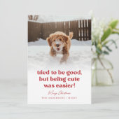 かわいい犬のおもしろいペット写真クリスマス シーズンカード (スタンド正面)