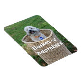 かわいい犬のかご4ヒラリー磁石 マグネット (右側)