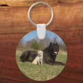 かわいい犬のカップル キーホルダー (正面)