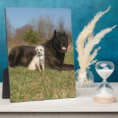 かわいい犬のカップル フォトプラーク (側面)