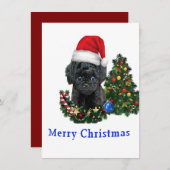 かわいい犬のクリスマスカードをプードル シーズンカード (正面/裏面)