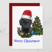 かわいい犬のクリスマスカードをプードル シーズンカード (正面/裏面)