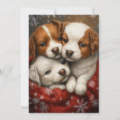 かわいい犬のクリスマスカード シーズンカード (正面)