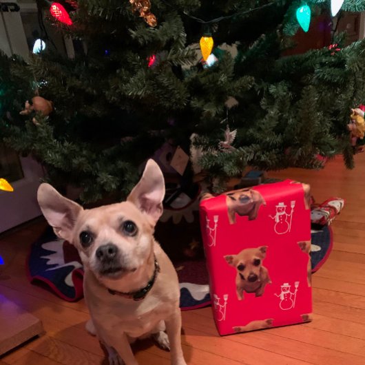 かわいい犬のクリスマスサンタ雪だるまキャンディカン ラッピングペーパーシート
