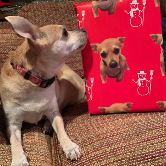 かわいい犬のクリスマスサンタ雪だるまキャンディカン ラッピングペーパーシート