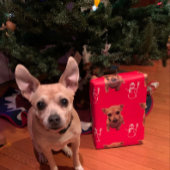 かわいい犬のクリスマスサンタ雪だるまキャンディカン ラッピングペーパーシート