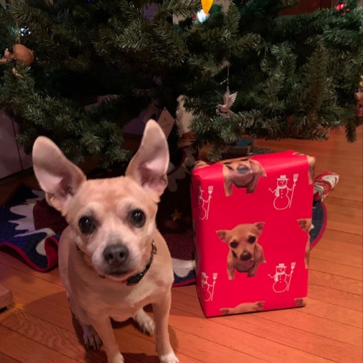 かわいい犬のクリスマスサンタ雪だるまキャンディカン ラッピングペーパーシート