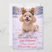 かわいい犬のクリスマススイート引用 | ホリデーカード (正面)