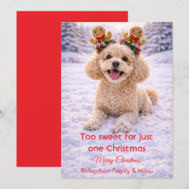 かわいい犬のクリスマススイート引用 | ホリデーカード