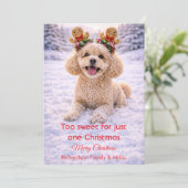 かわいい犬のクリスマススイート引用 | ホリデーカード (スタンド正面)