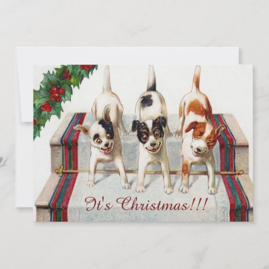 かわいい犬のクリスマスパーティー 招待状 (正面)