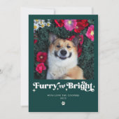 かわいい犬のクリスマス写真 シーズンカード (正面)