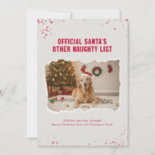 かわいい犬のクリスマス写真 シーズンカード (正面)