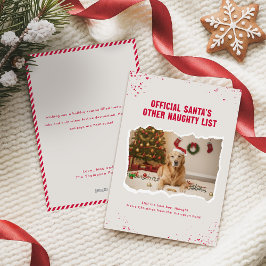 かわいい犬のクリスマス写真 シーズンカード