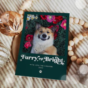 かわいい犬のクリスマス写真 シーズンカード