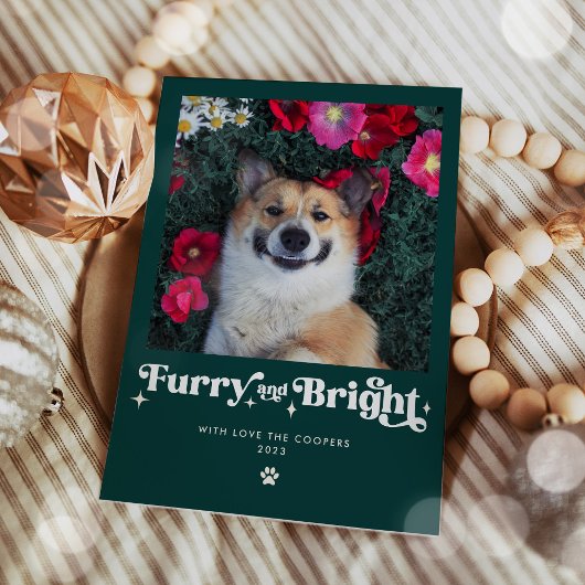 かわいい犬のクリスマス写真 シーズンカード