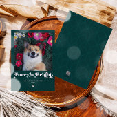 かわいい犬のクリスマス写真 シーズンカード