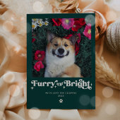 かわいい犬のクリスマス写真 シーズンカード