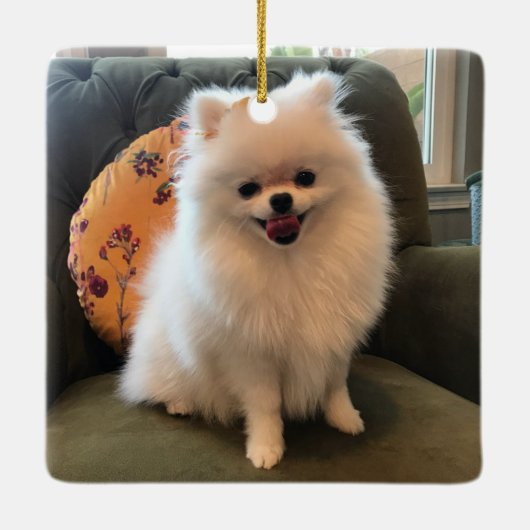 かわいい犬のクリスマス記念品フェイト両面ペット写真 セラミックオーナメント (裏面)