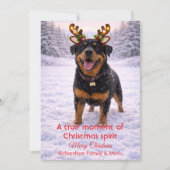 かわいい犬のクリスマス スイートな名言 | ホリデーカード (正面)