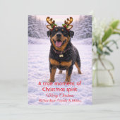 かわいい犬のクリスマス スイートな名言 | ホリデーカード (スタンド正面)
