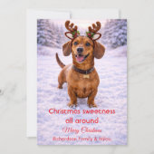 かわいい犬のクリスマス スイートな名言 | ホリデーカード (正面)