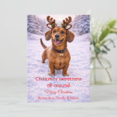 かわいい犬のクリスマス スイートな名言 | ホリデーカード (スタンド正面)