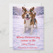かわいい犬のクリスマス スイートな名言 | ホリデーカード (正面)