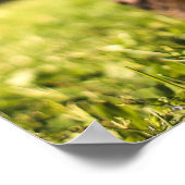 かわいい犬のクローズアップポスター ポスター (角)