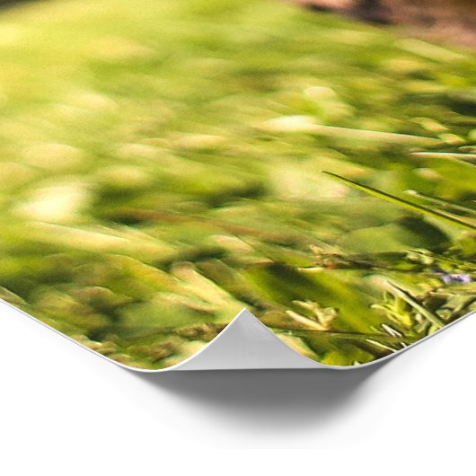 かわいい犬のクローズアップポスター ポスター (角)