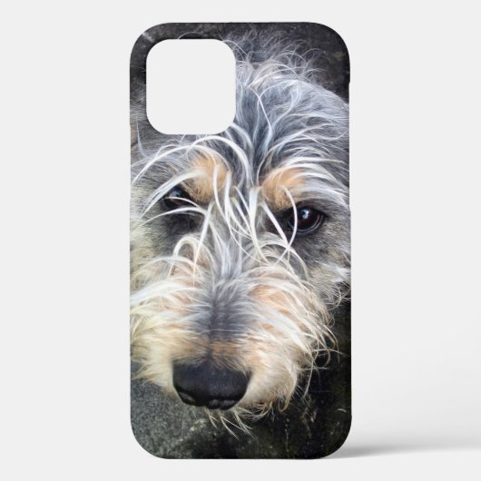 かわいい犬のケースメイトiPhoneケース Case-Mate iPhoneケース (裏面)