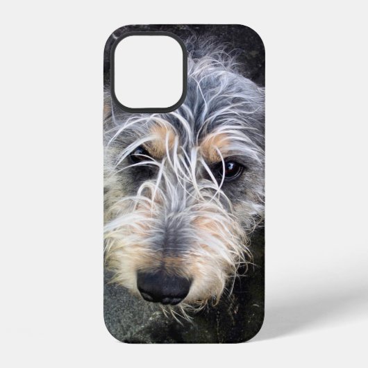 かわいい犬のケースメイトiPhoneケース iPhoneケース (裏面)