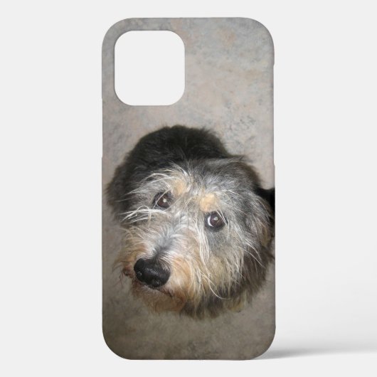 かわいい犬のケース – メイトiPhoneケース Case-Mate iPhoneケース (裏面)